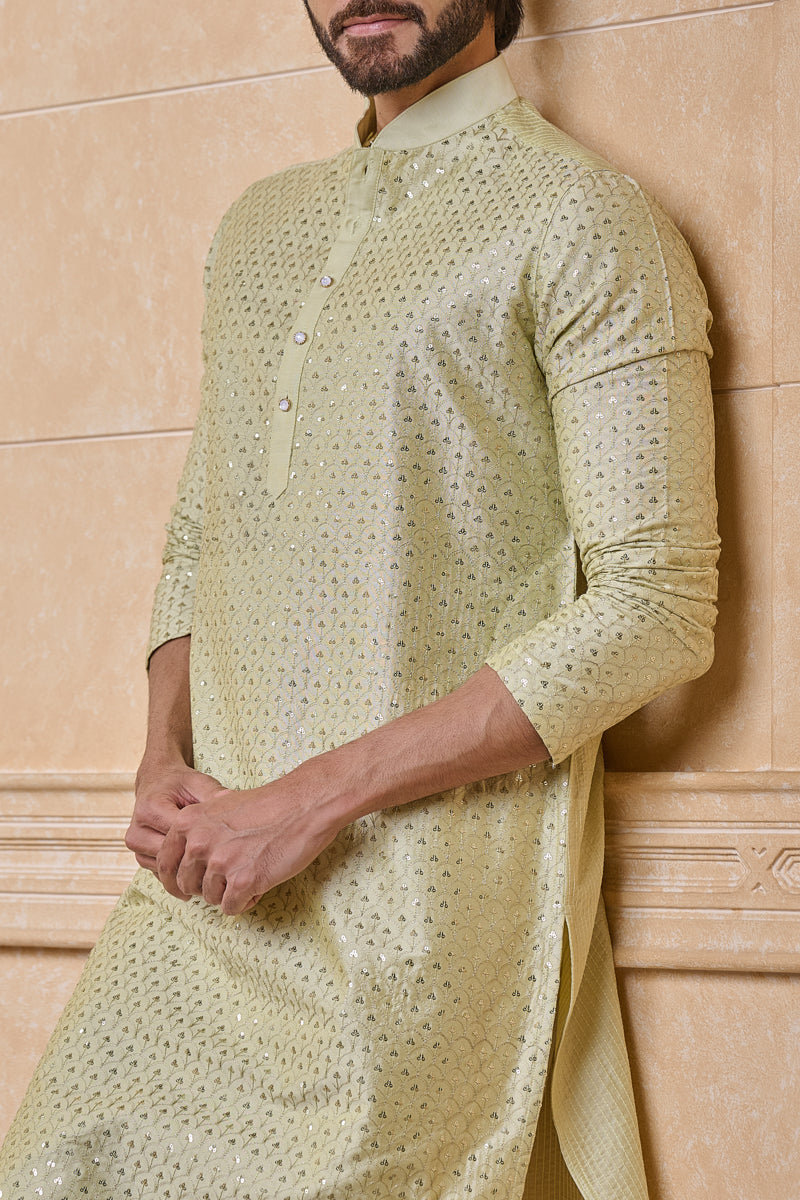 Light Green Classic Kurta Set
