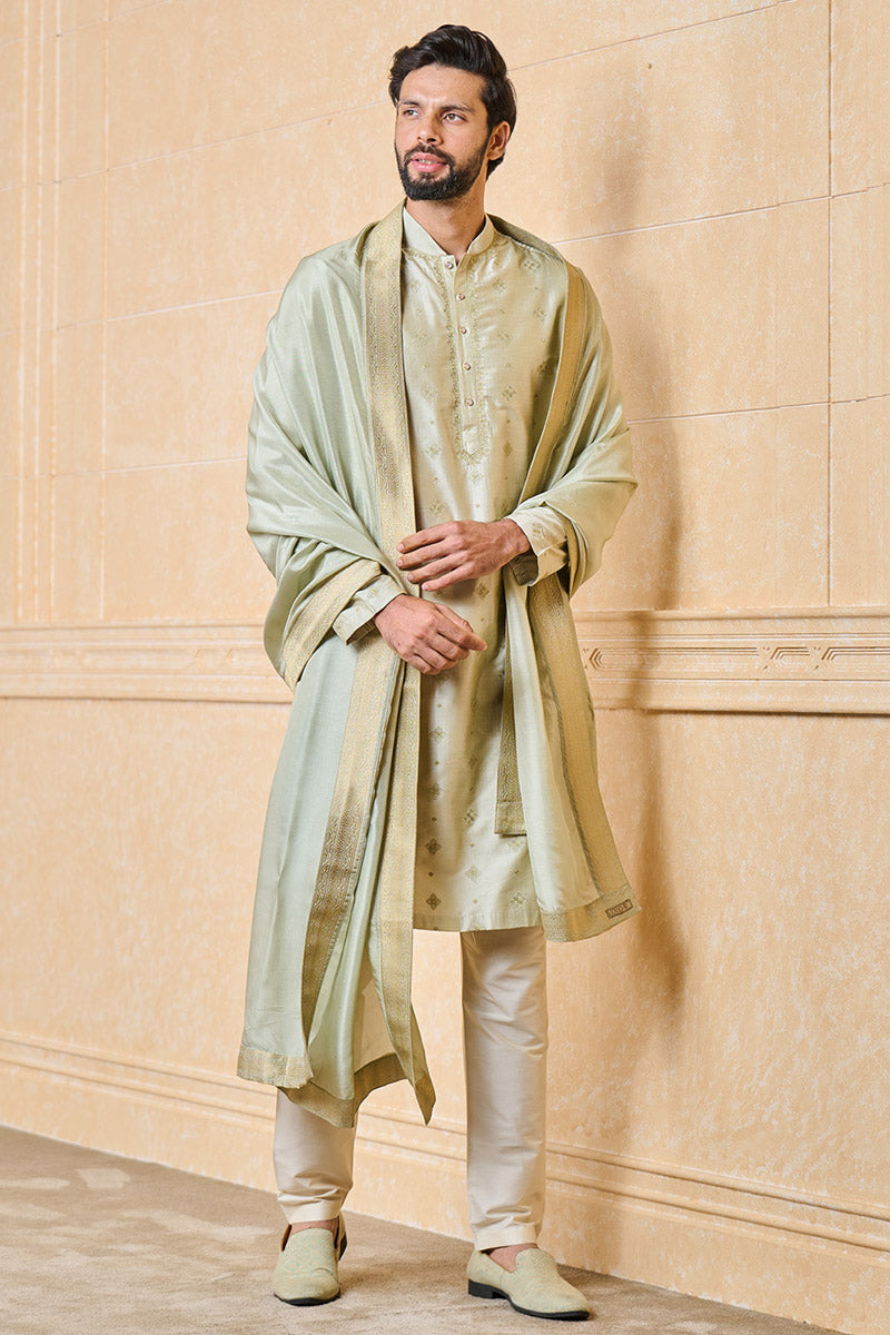 Light Green Stole With Zari Jacquard Embroidered Borders