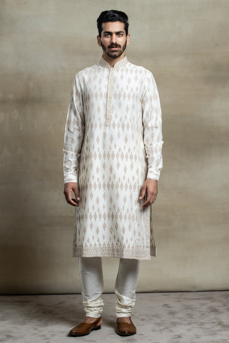Printed Kurta Set with Embroidery Highlights